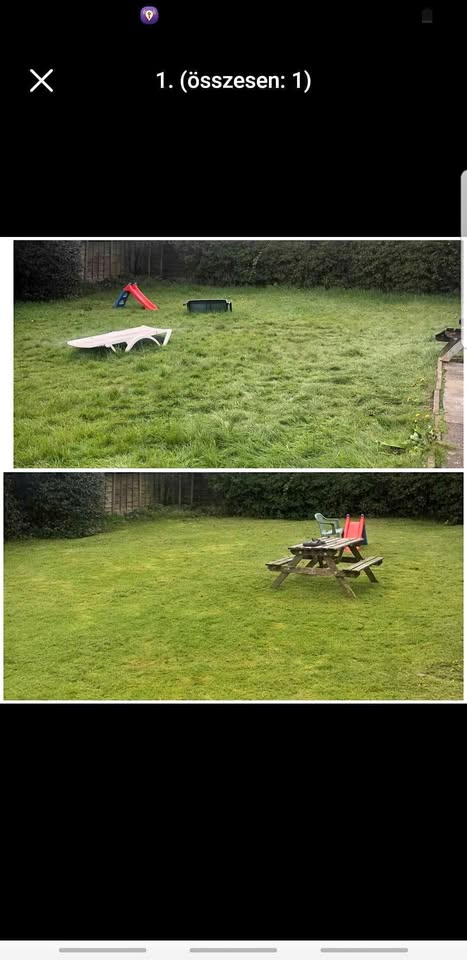 Garden before and after
