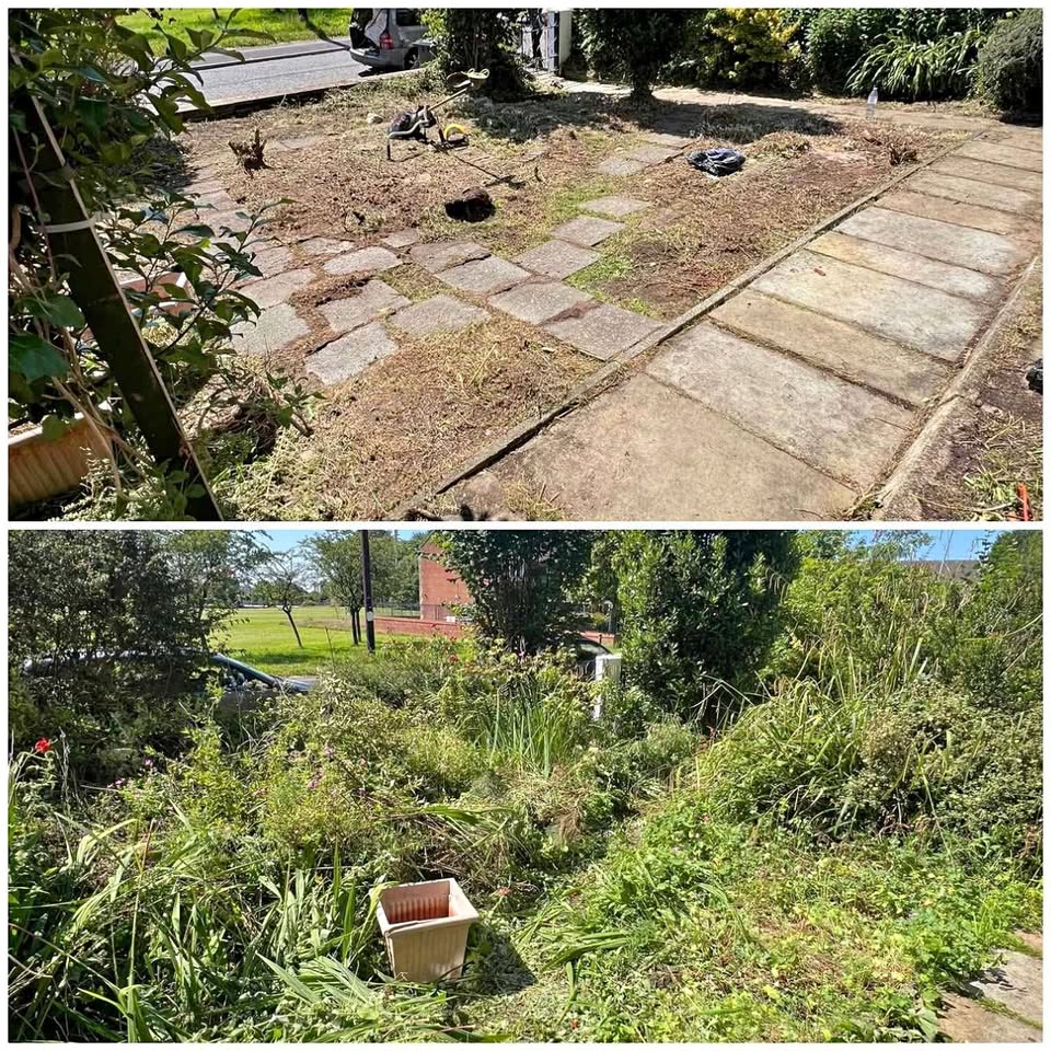 Garden clearance before and after