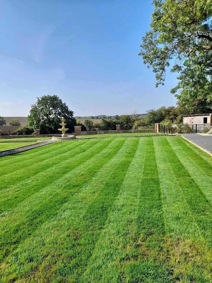 Freshly maintained lawn
