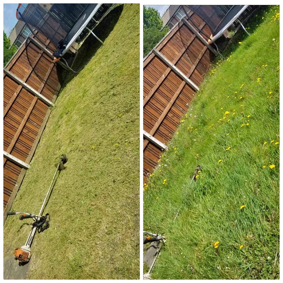 Lawn transformation