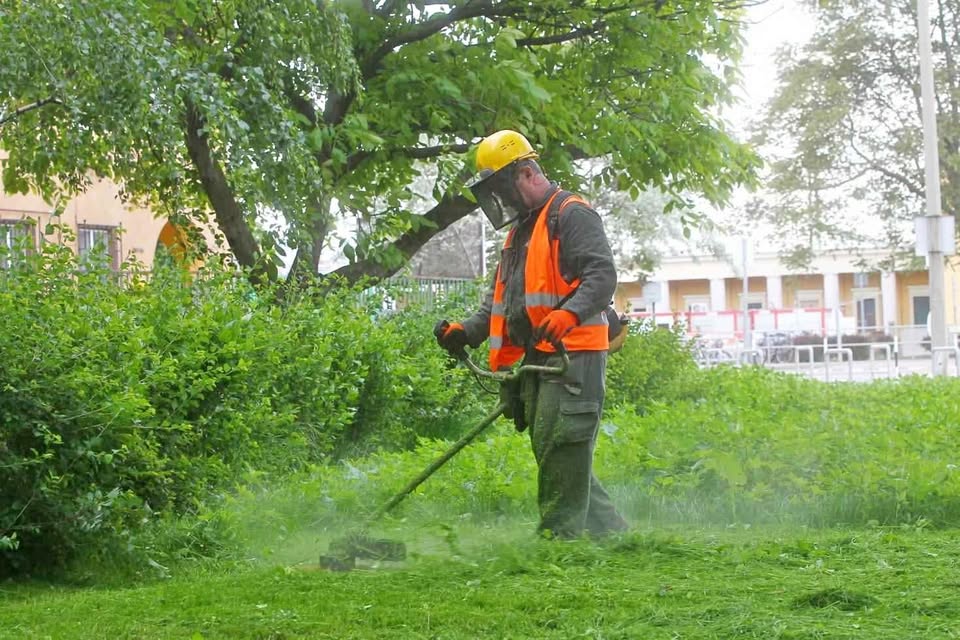 Gardening and strimming